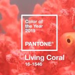 Living Coral Travertine